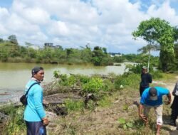 Buaya Teror Warga Sekarbiru, Korban Nyaris Tewas di Kolong Bekas Tambang: Pemerintah & Instansi Terkait Diam?