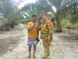 Perambahan Hutan Lindung di Belilik Kembali Mencuat, Dugaan 25 Hektare Dikuasai Oknum