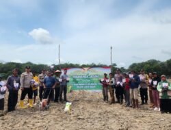 Sinergi Kecamatan dan Polsek Lubuk Besar, Tanam Jagung Hibrida di Lahan 2 Hektare Milik Warga