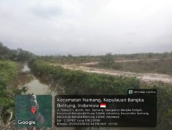 Hukum Diuji di Belilik: Ratusan Hektare Sawit Berdiri di Kawasan Lindung