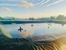 Dugaan Penipuan hingga Tambak Udang Ilegal, Pengacara Andi Kusuma Seret Nama Frida Gunadi ke Polda Babel