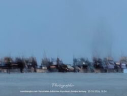 Masyarakat Pesisir Pasir Padi Angkat Suara, Minta Jangan Ada Narasi yang Menyudutkan Warga