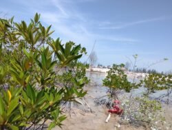 Pantai Rebo Kembali Digerus Tambang, Reklamasi Dipertanyakan: Siapa Bertanggung Jawab